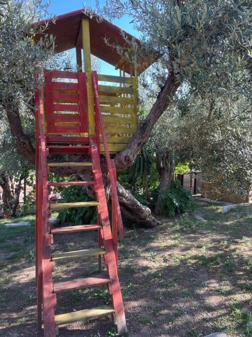 Ferienwohnung La Dimora Delle Rose Passignano sul Trasimeno Exterior foto