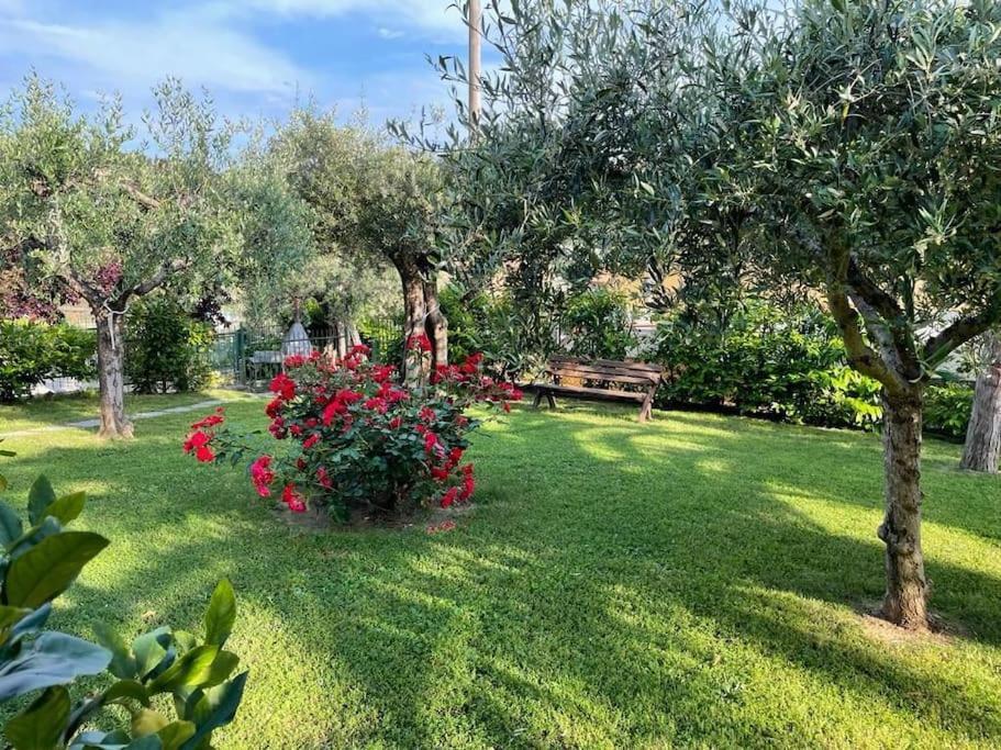 Ferienwohnung La Dimora Delle Rose Passignano sul Trasimeno Exterior foto